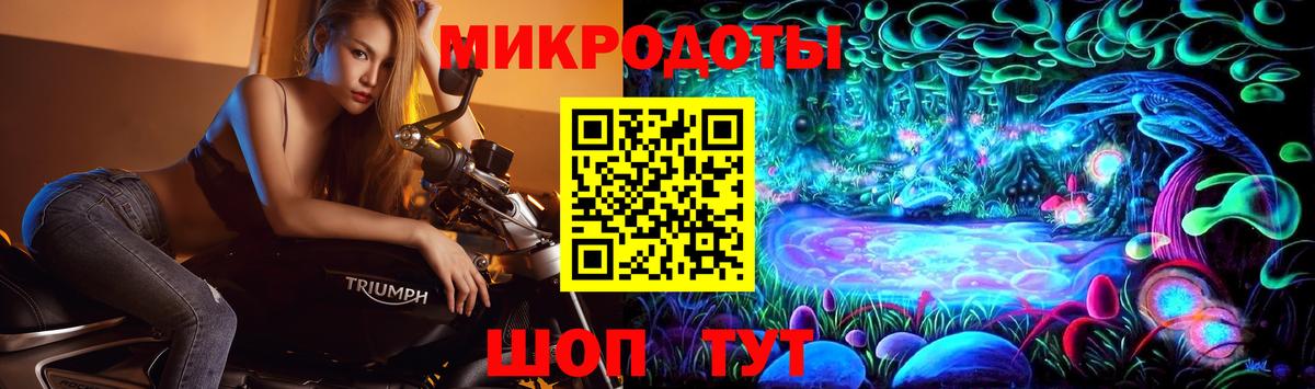 Псилоцибиновые грибы Psilocybine cubensis  Сосновоборск 