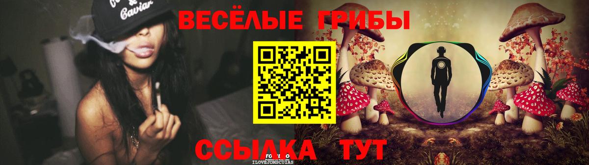 Псилоцибиновые грибы GOLDEN TEACHER Сосновоборск